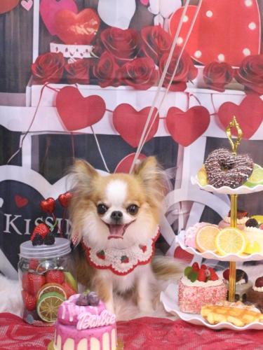 20250226プリュ―くん